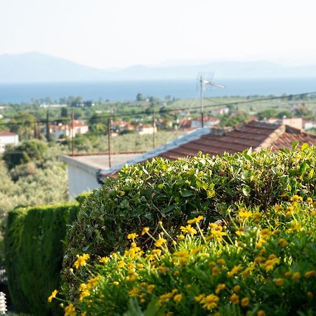 Mirovili House Κάτω Λεχώνια Εξωτερικό φωτογραφία